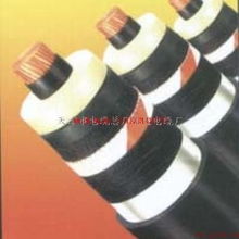 天津電纜廠2×2.5、5×4、5×16電力電纜產(chǎn)品資料詳解